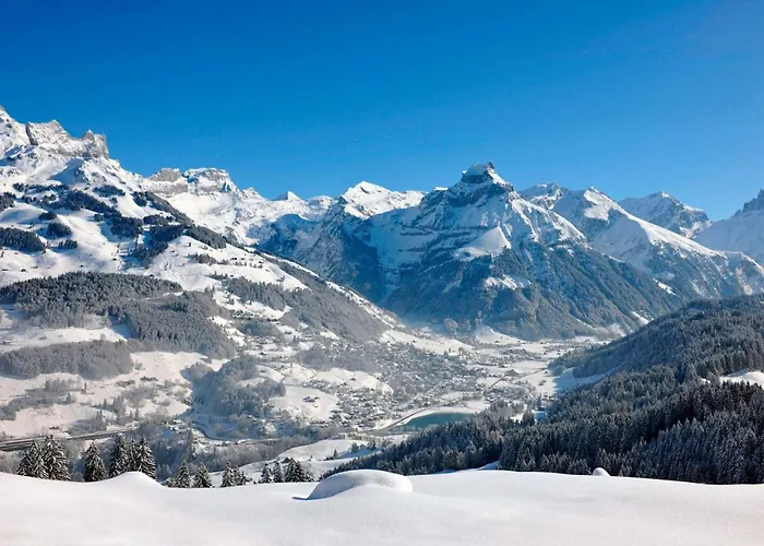 Apartment Villa Alpenblick Wolfenschiessen
